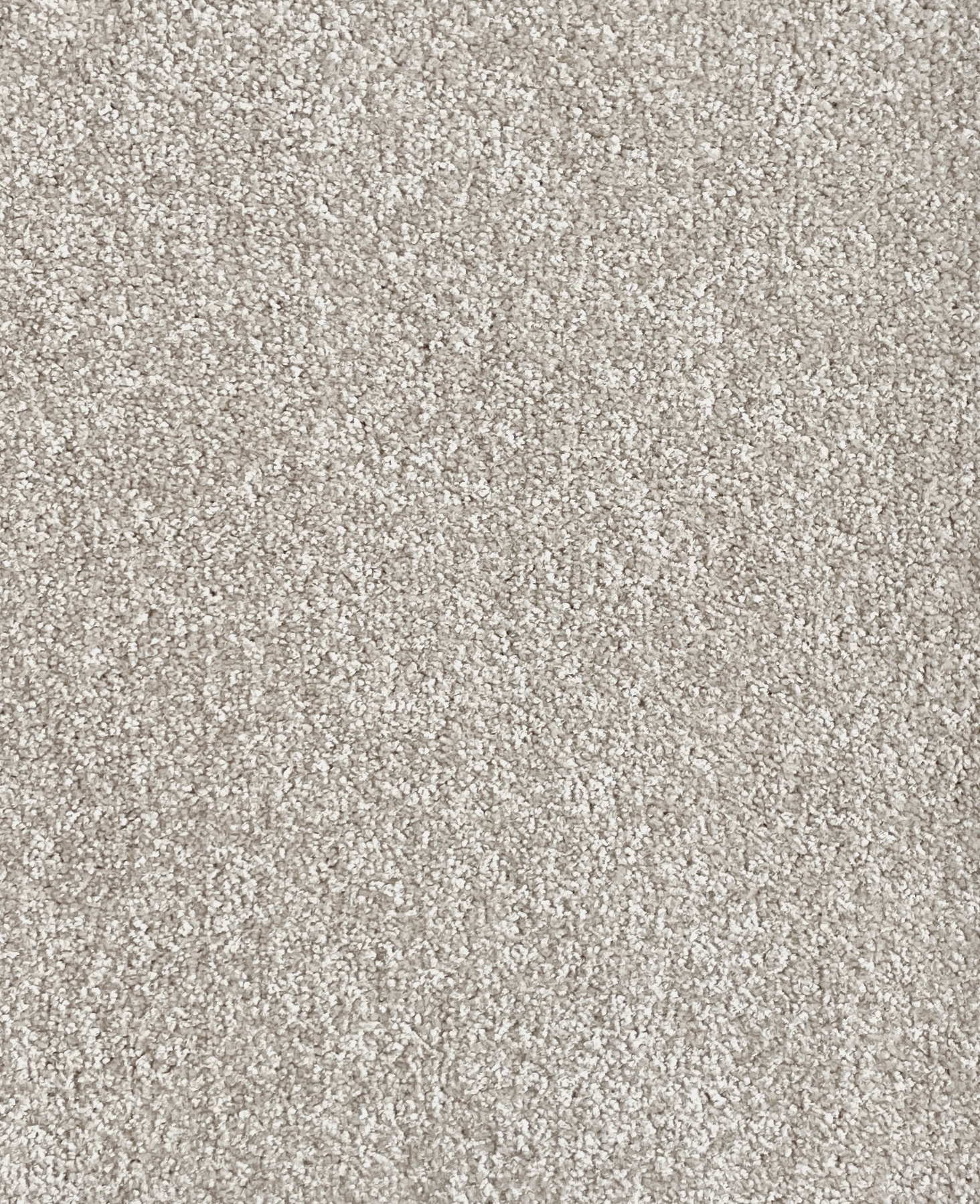 Eclipse Col. Natural Canvas