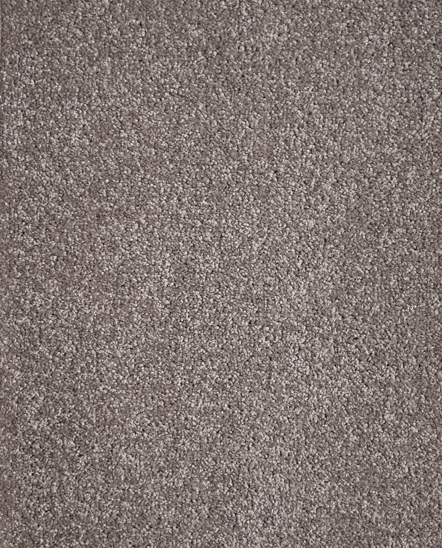 Eclipse Col. Rocky Quartz