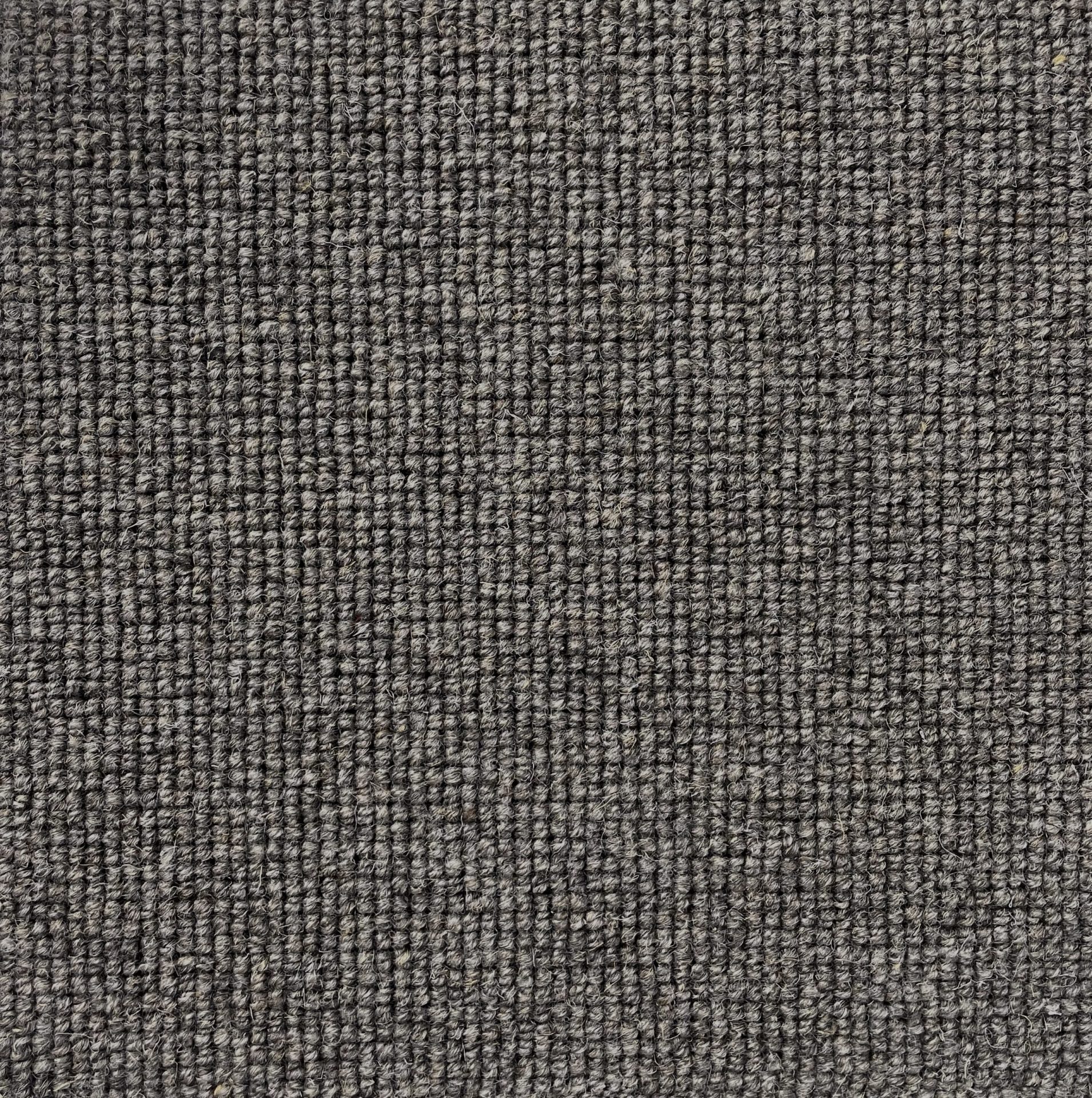 Hause Col. Eighty Eight