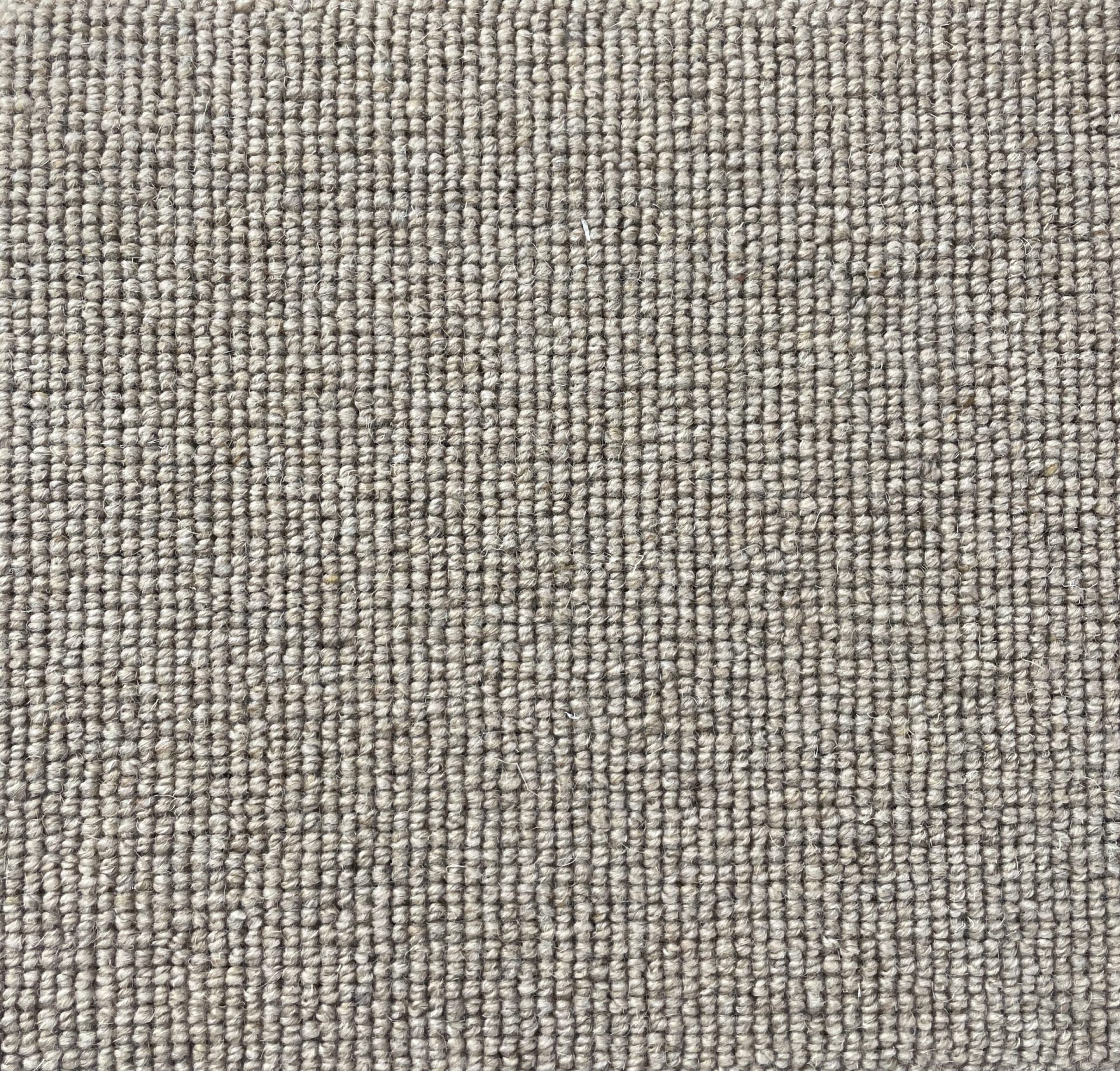 Hause Col. Forty Seven