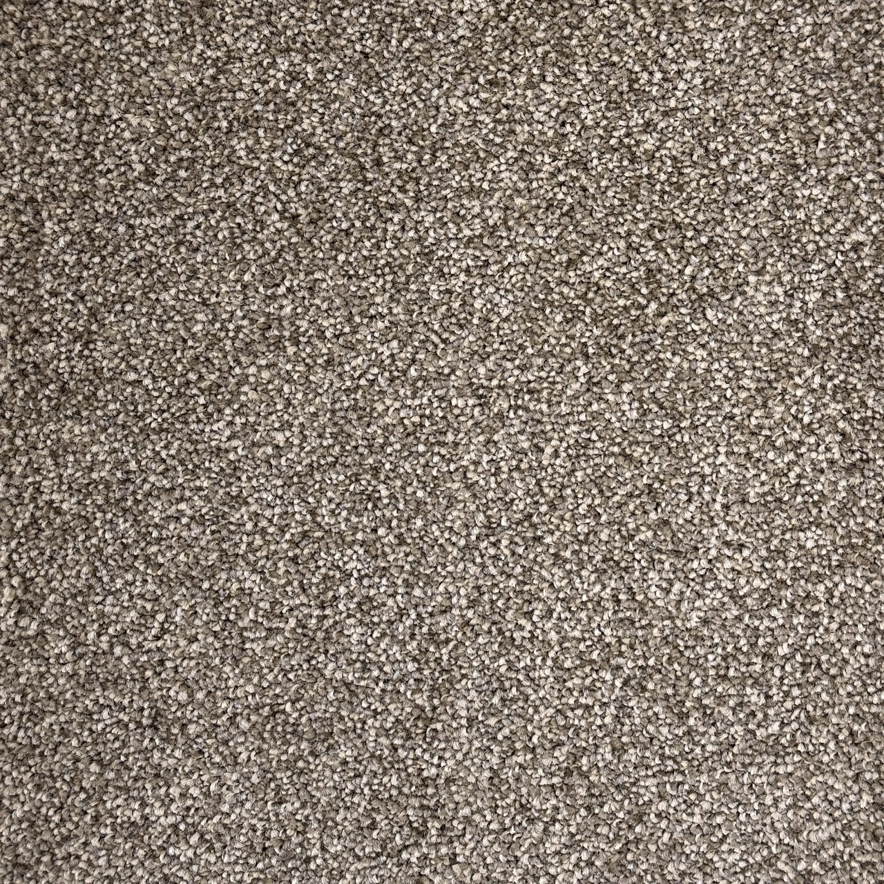 Hip Hop Autumn Large