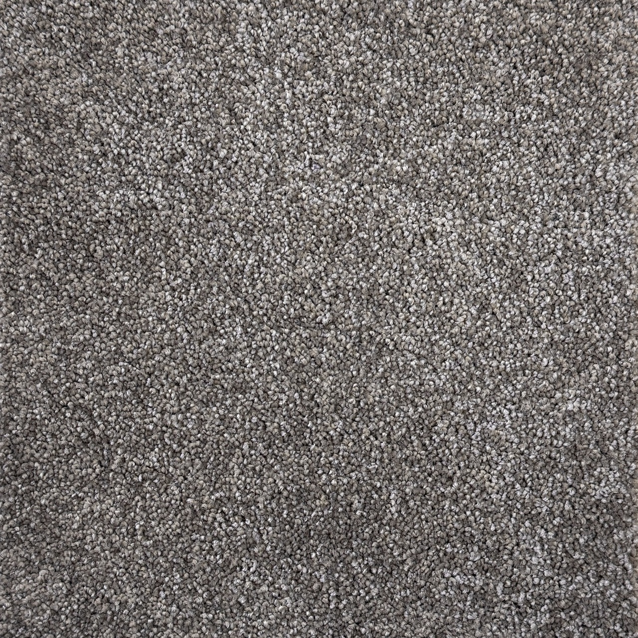 Hip Hop Jasper Large