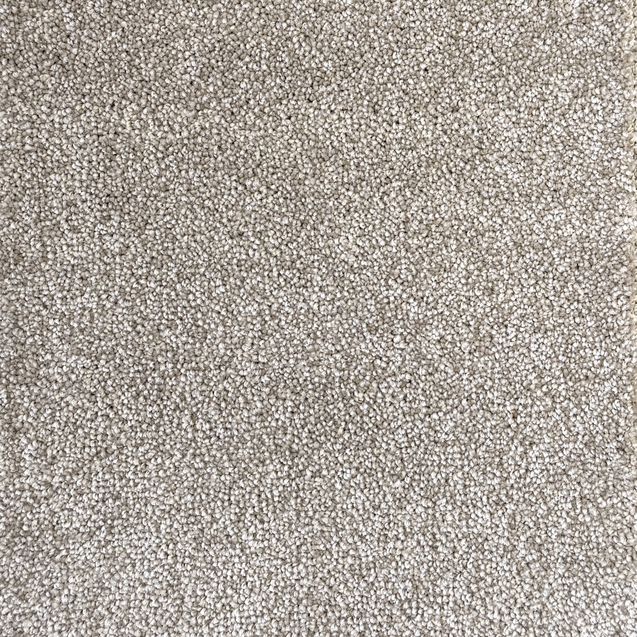 Hip Hop Spring Large