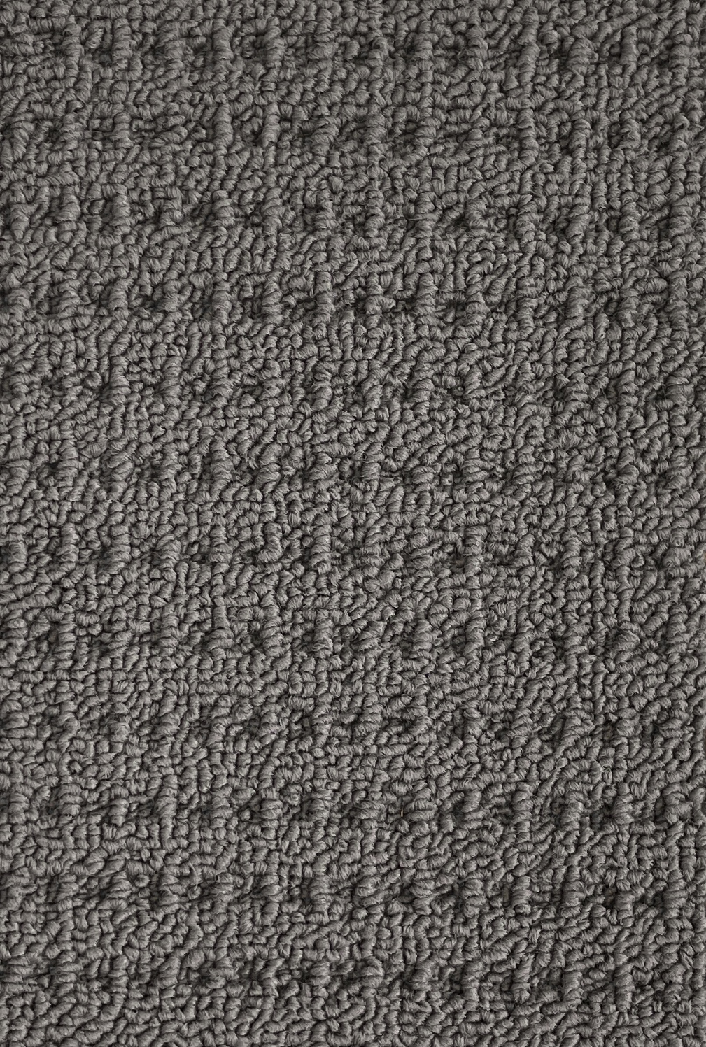 Indy Delight Col. Ash Grey