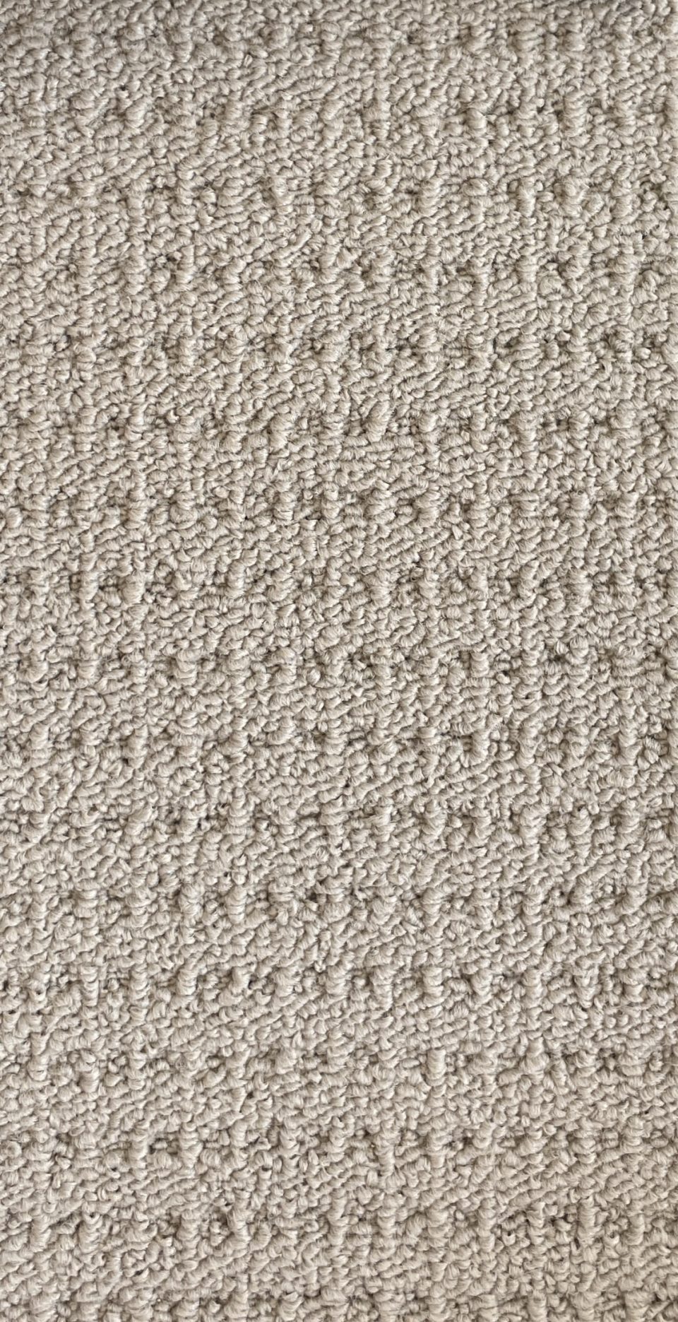 Indy Delight Carpet