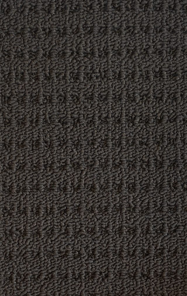 Indy Delight Col. Charcoal
