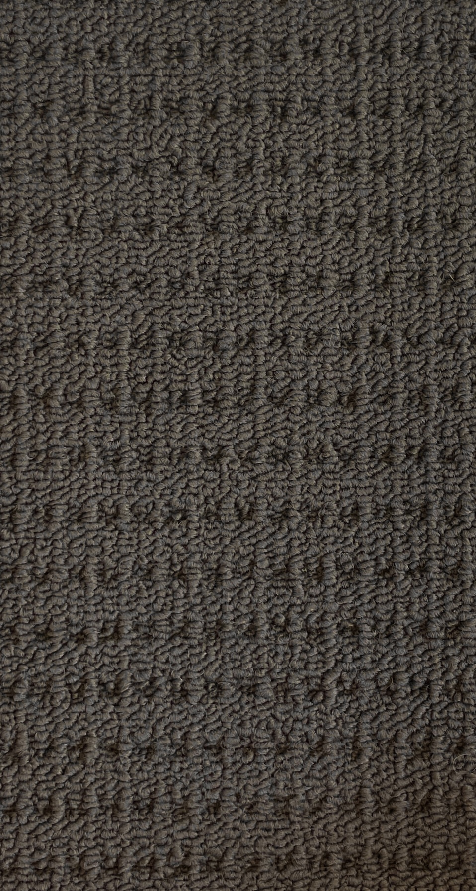 Indy Delight Col. Cyber Grey