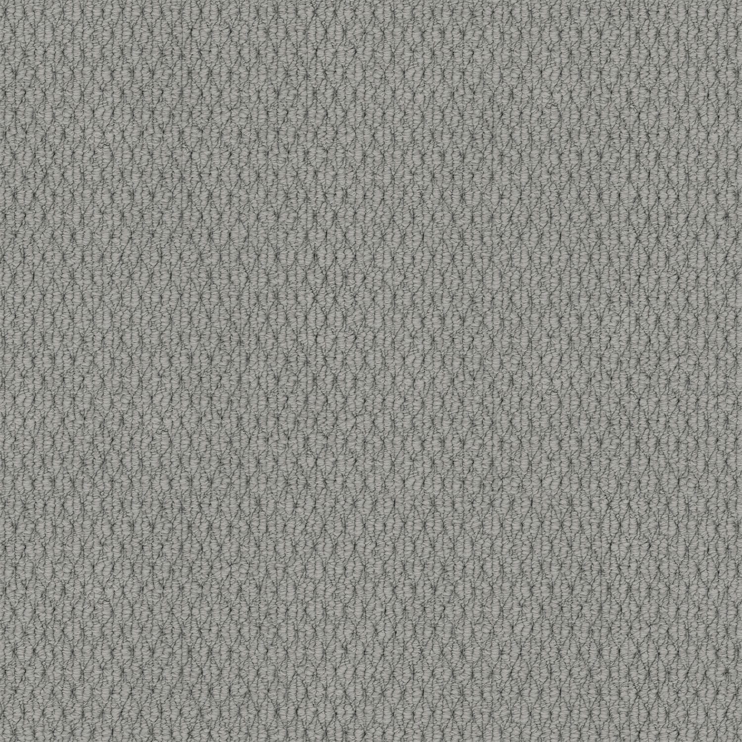 Kashmir Arctic Grey