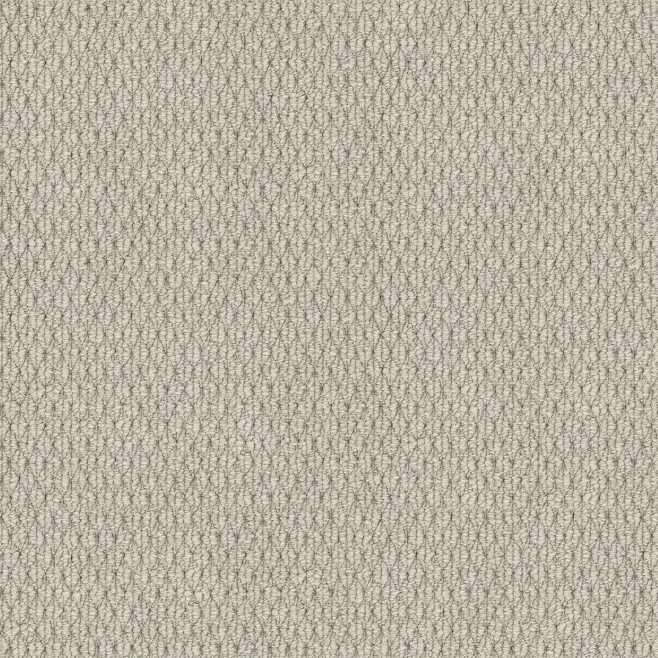Kashmir Carpet