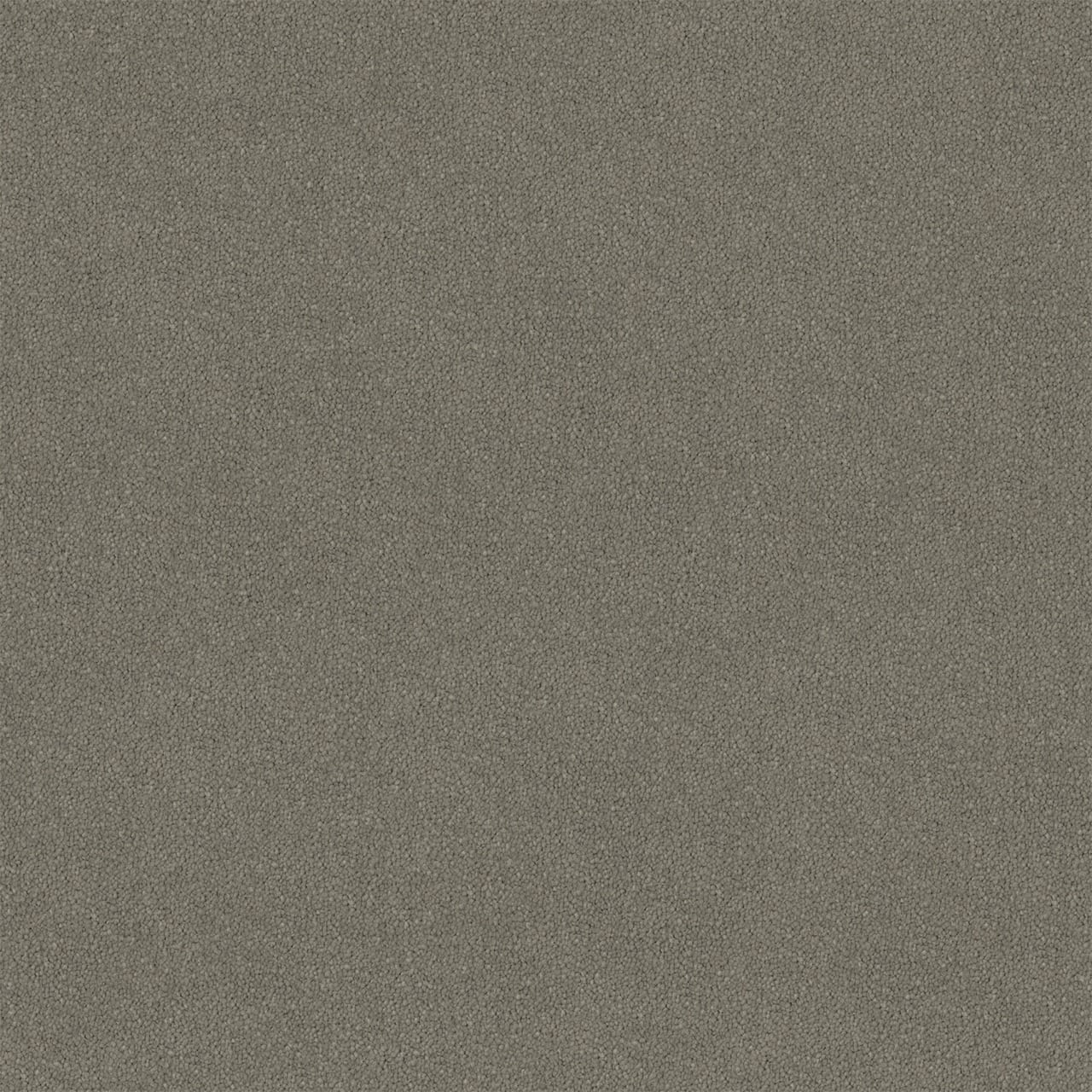 Knights Ridge Gawain Large