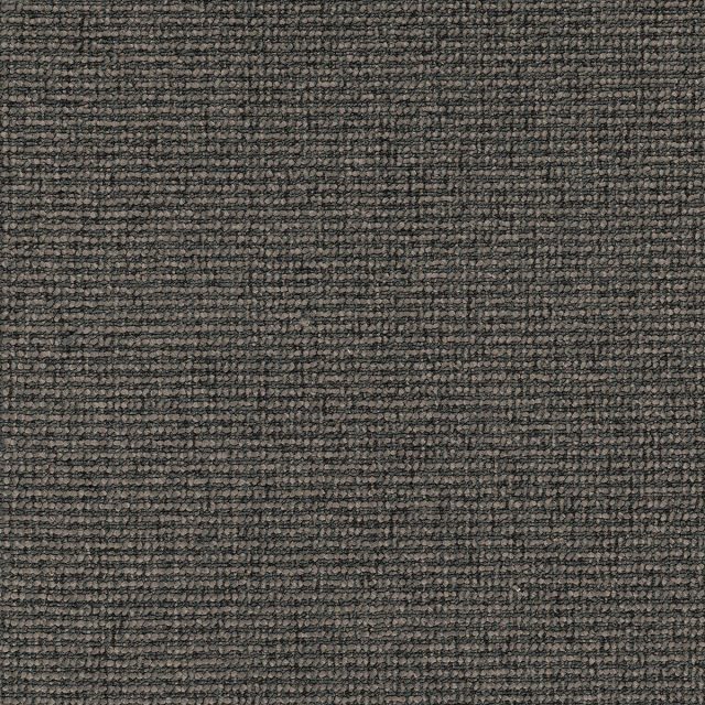 Langhorne Hut Carpet