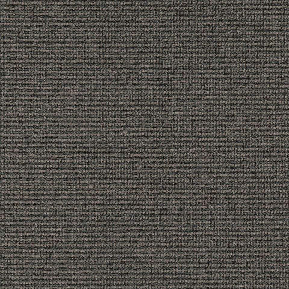 Langhorne Hut Carpet