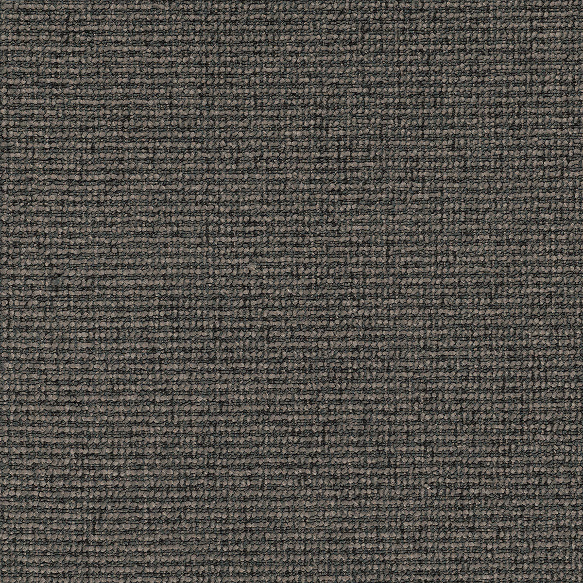 Langhorne Hut Carpet