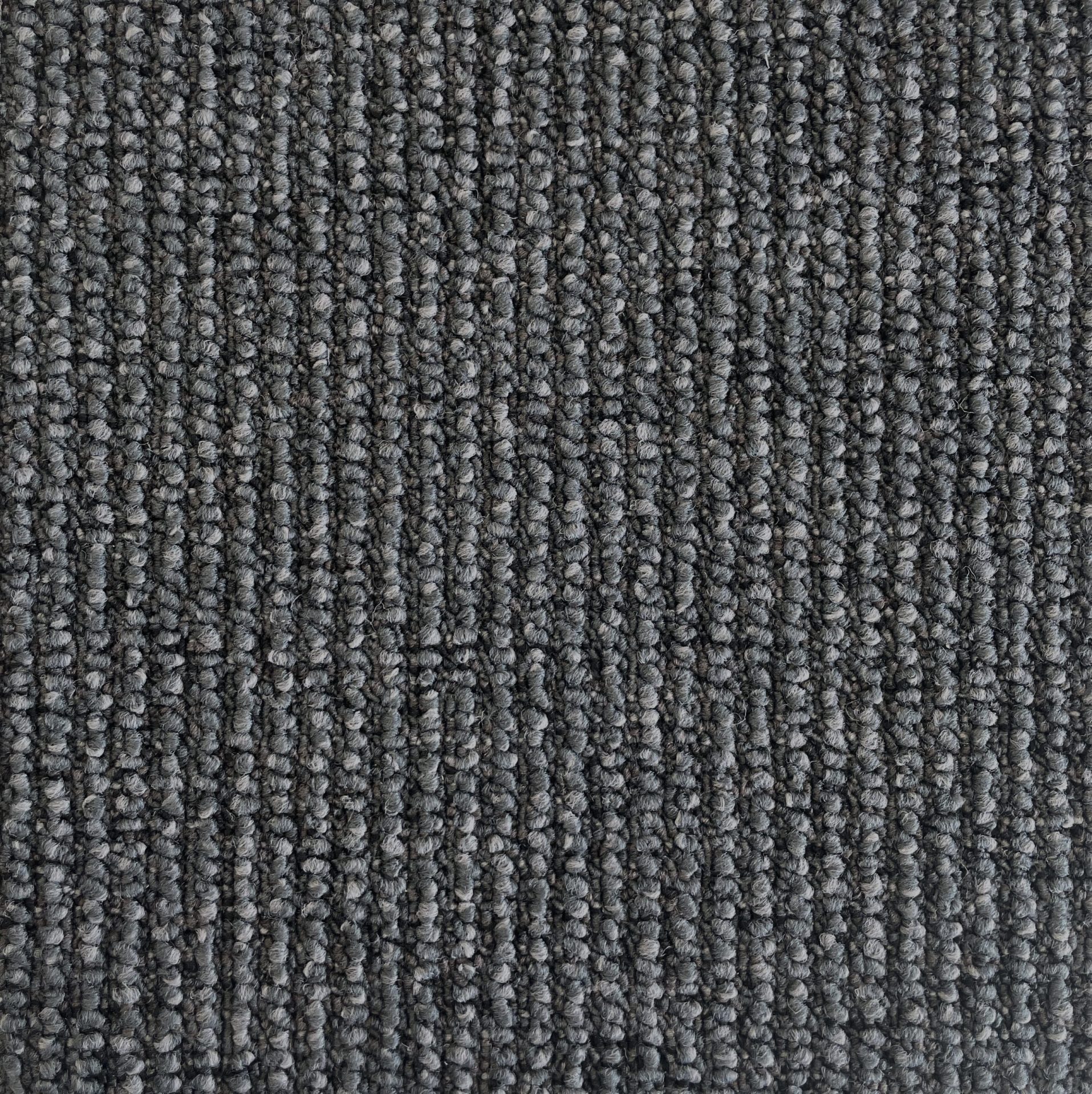 Langhorne Hut Col. Sheoak