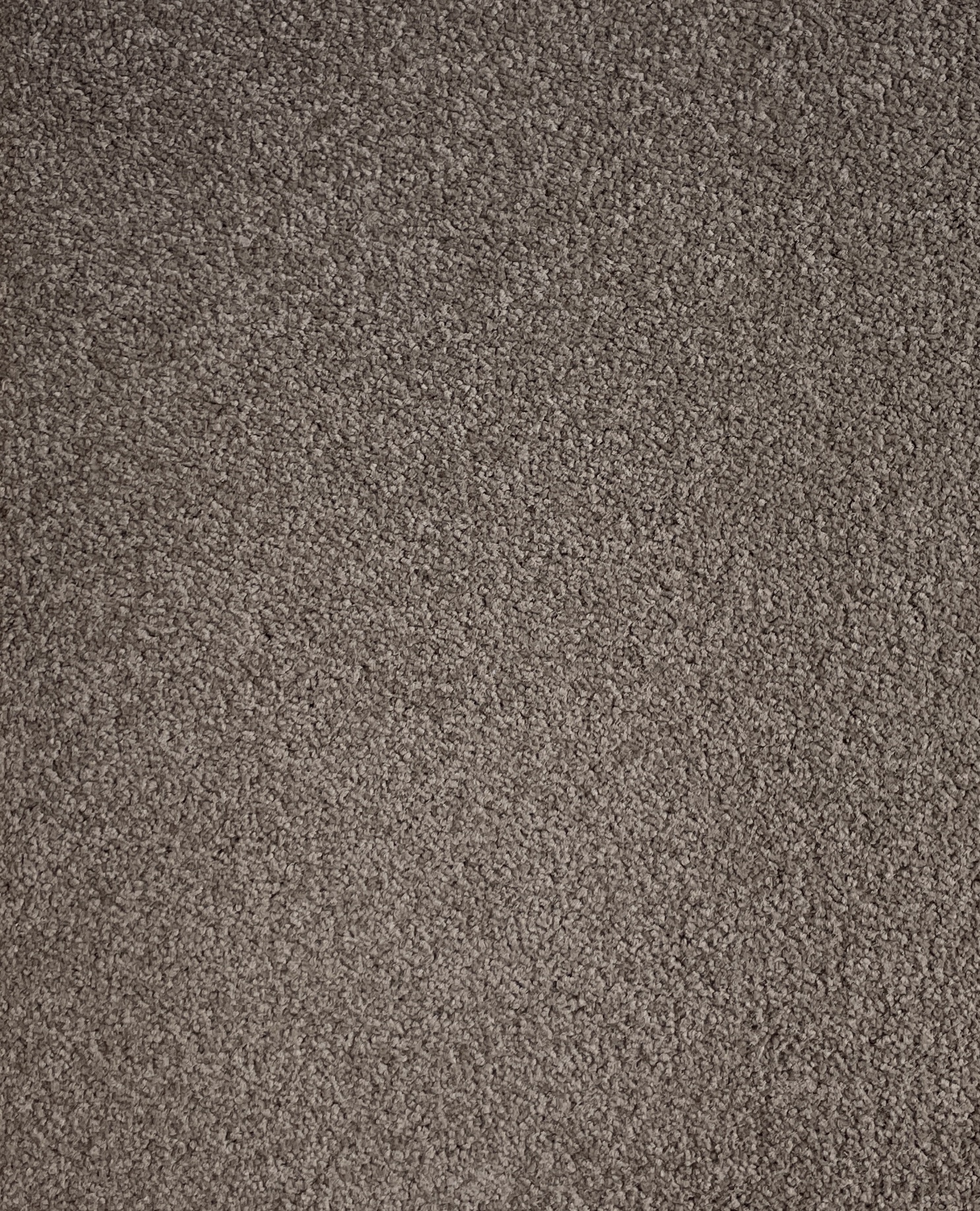 Lap Of Luxury Col. Amazonstone