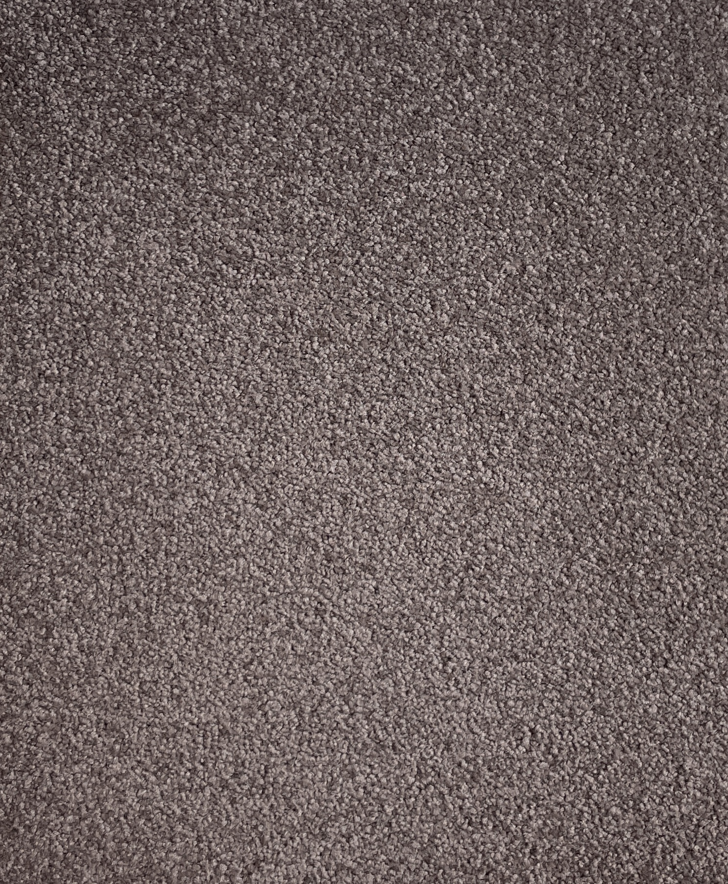 Lap Of Luxury Col. Rocky Quartz