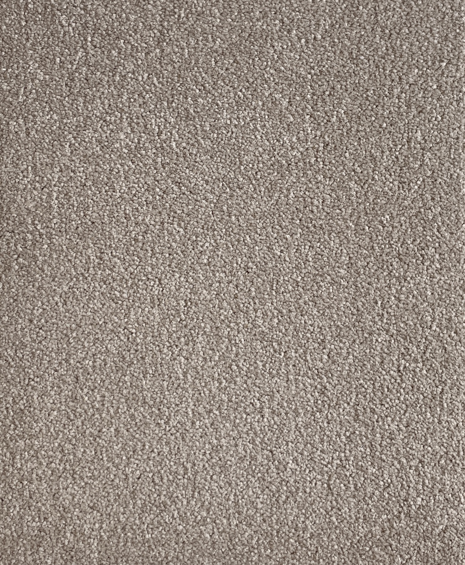 Lap Of Luxury Col. Sandy Cove