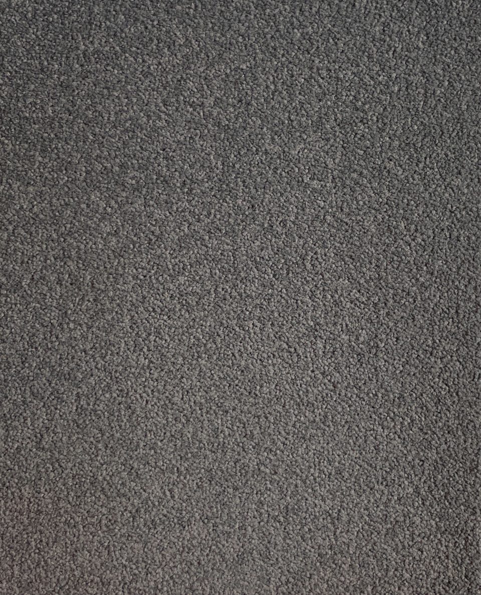 Lap Of Luxury Carpet
