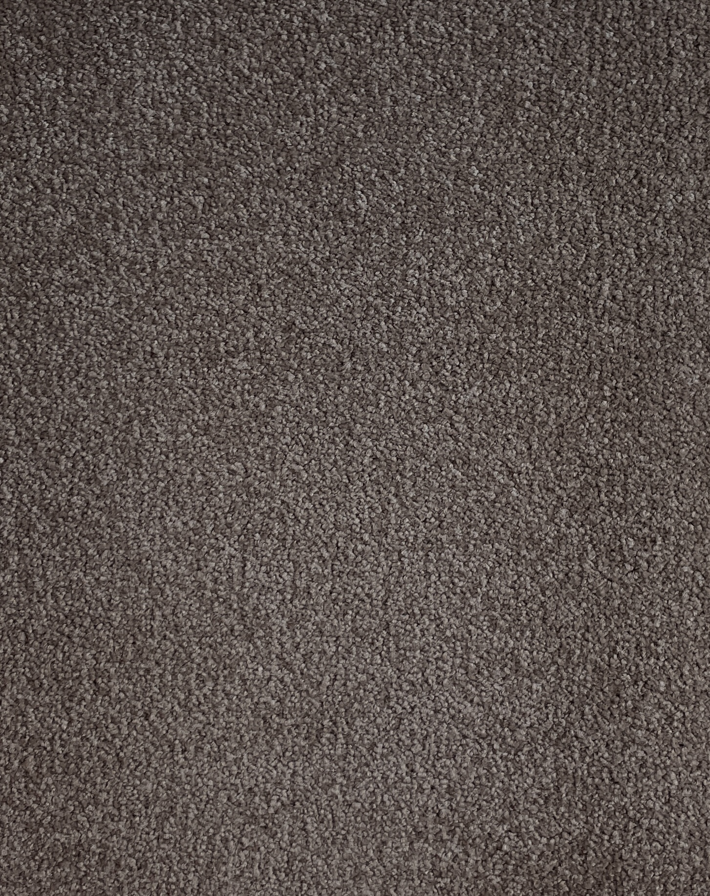 Lap Of Luxury Col. Sorrell