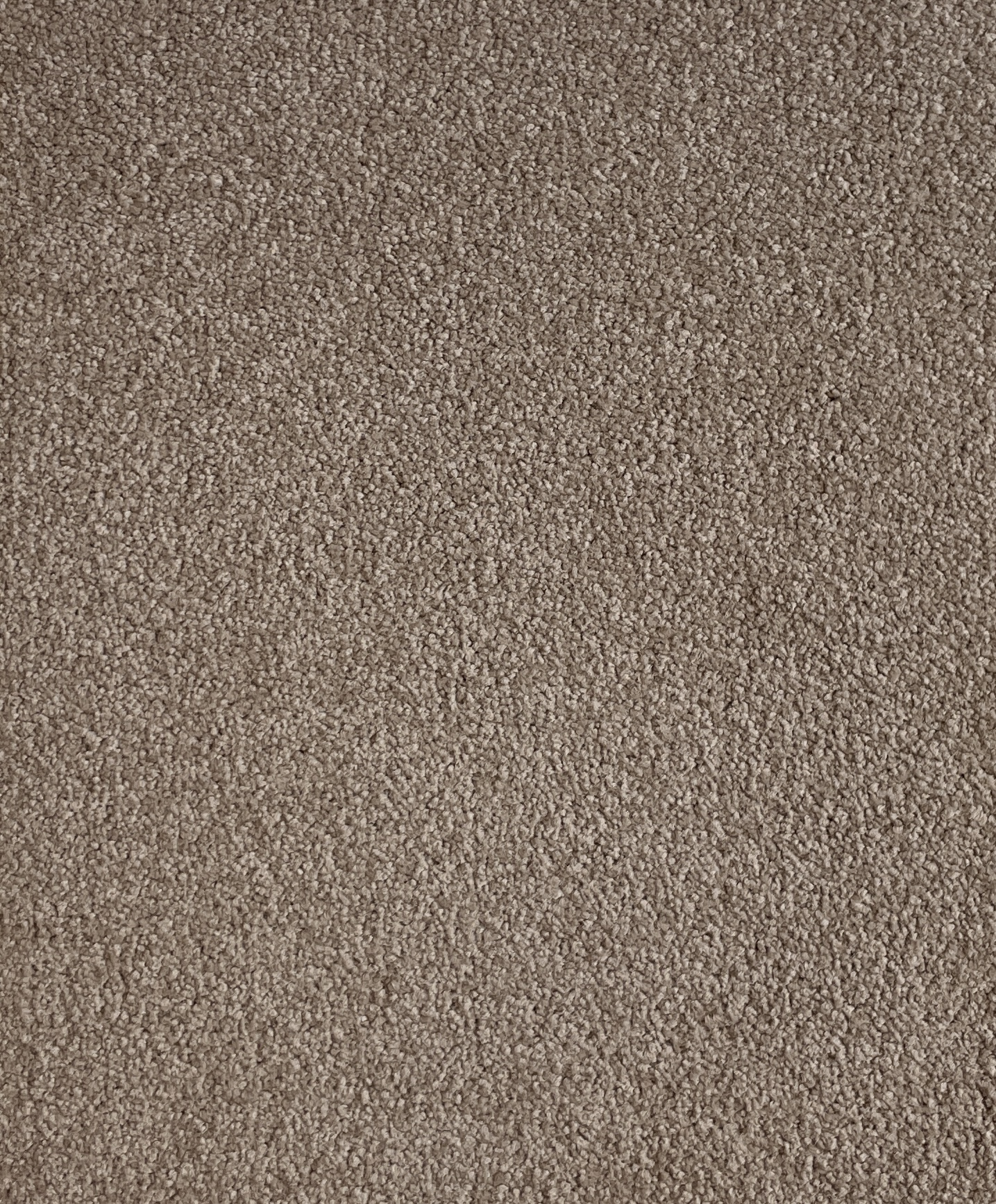 Lap Of Luxury Col. Torte