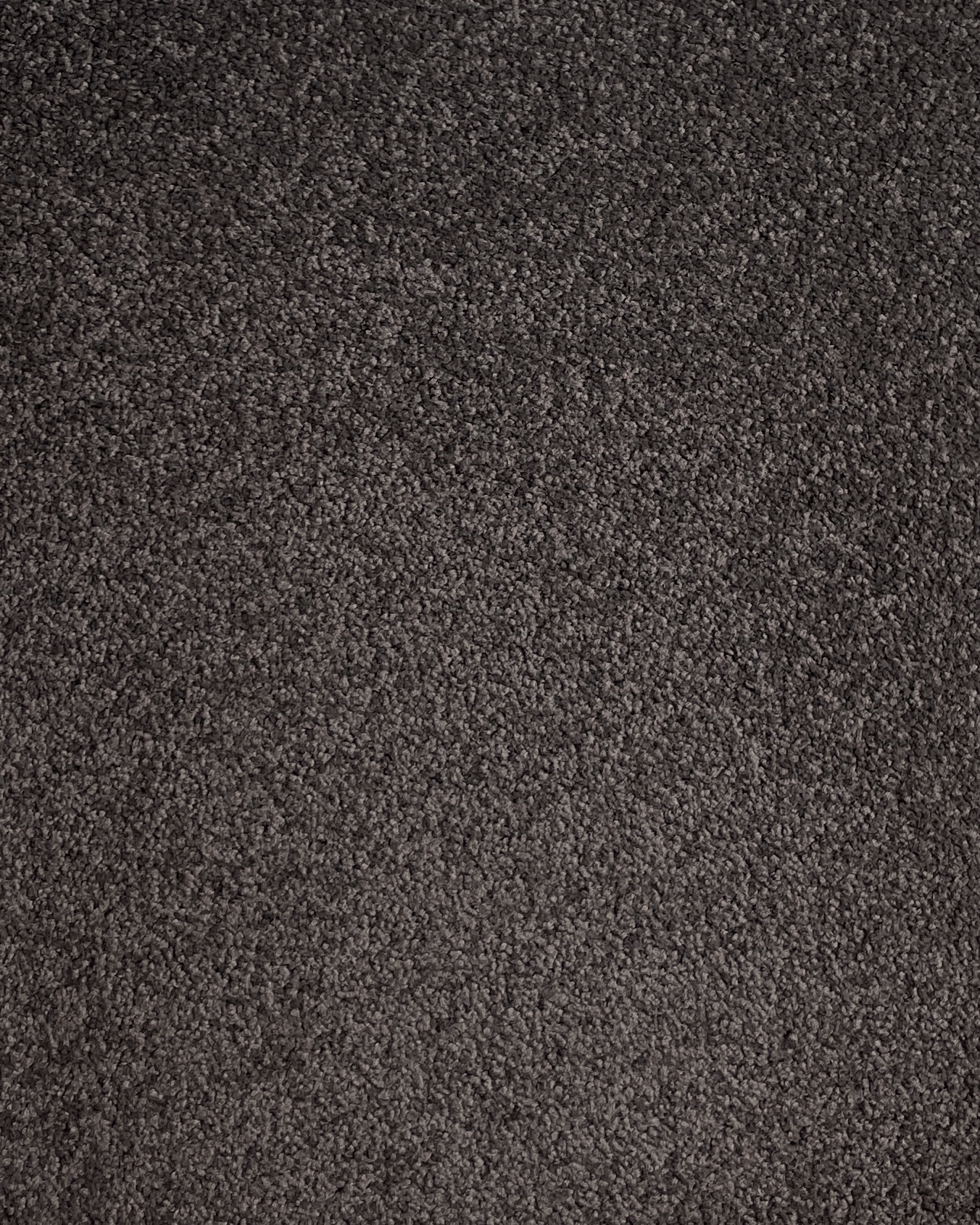 Lap Of Luxury Col. Trial Print