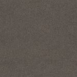 Lasting Touch Columbia