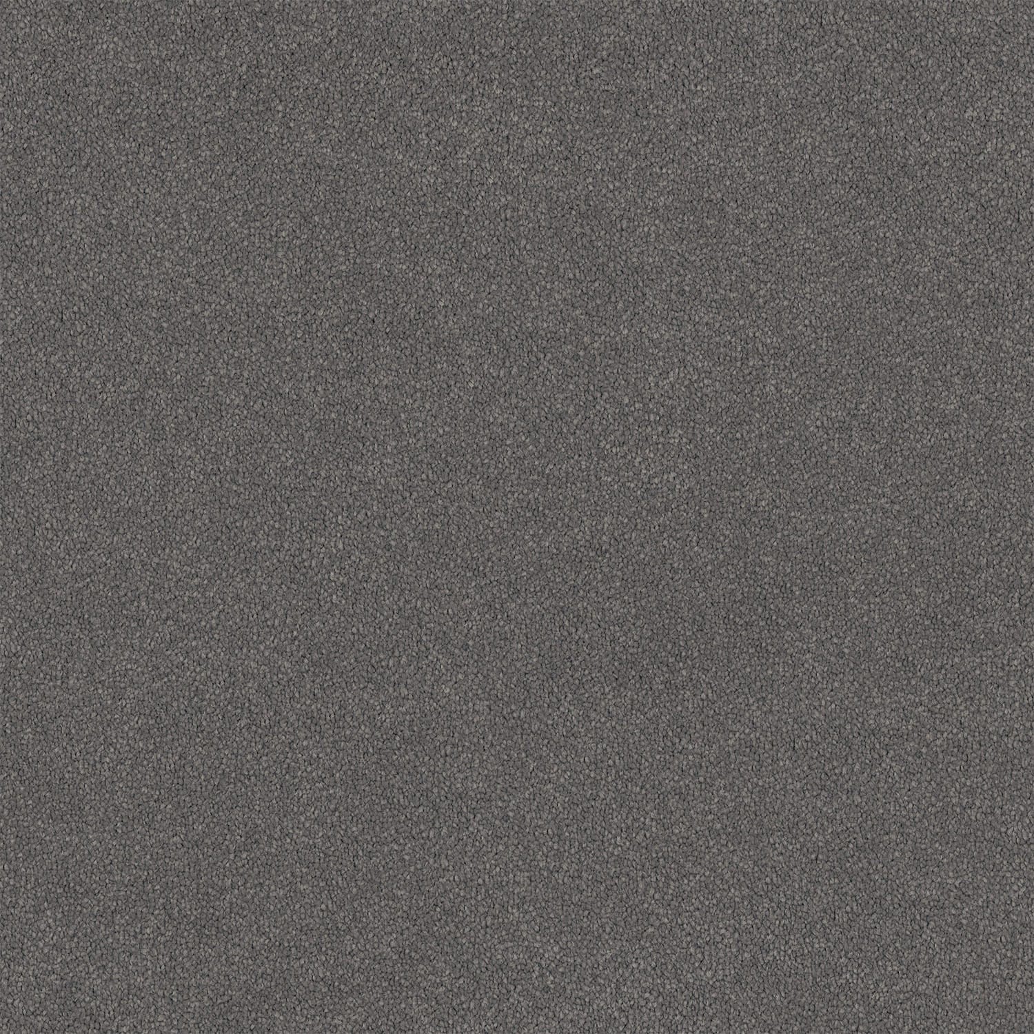 Lasting Touch Domino