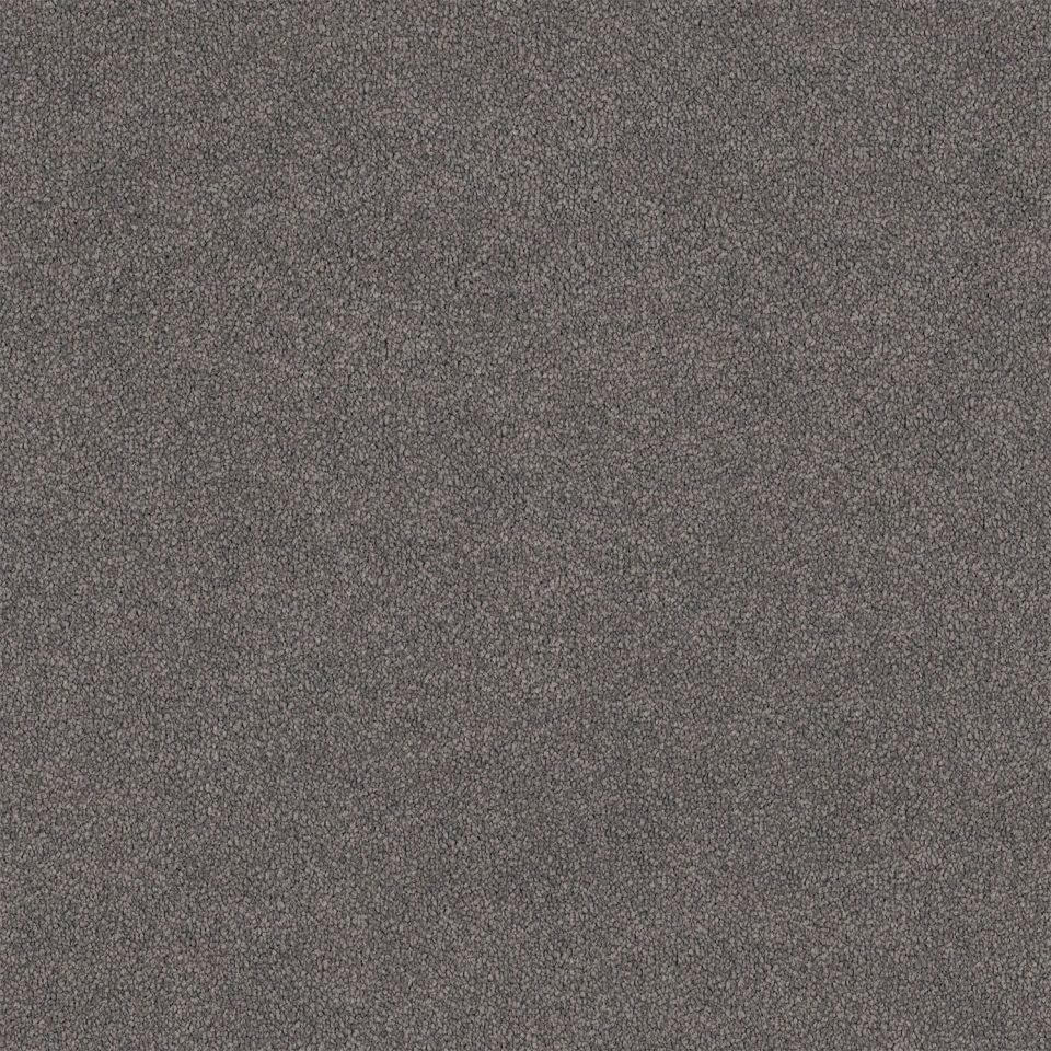 Lasting Touch Carpet