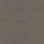 Lasting Touch Tinker