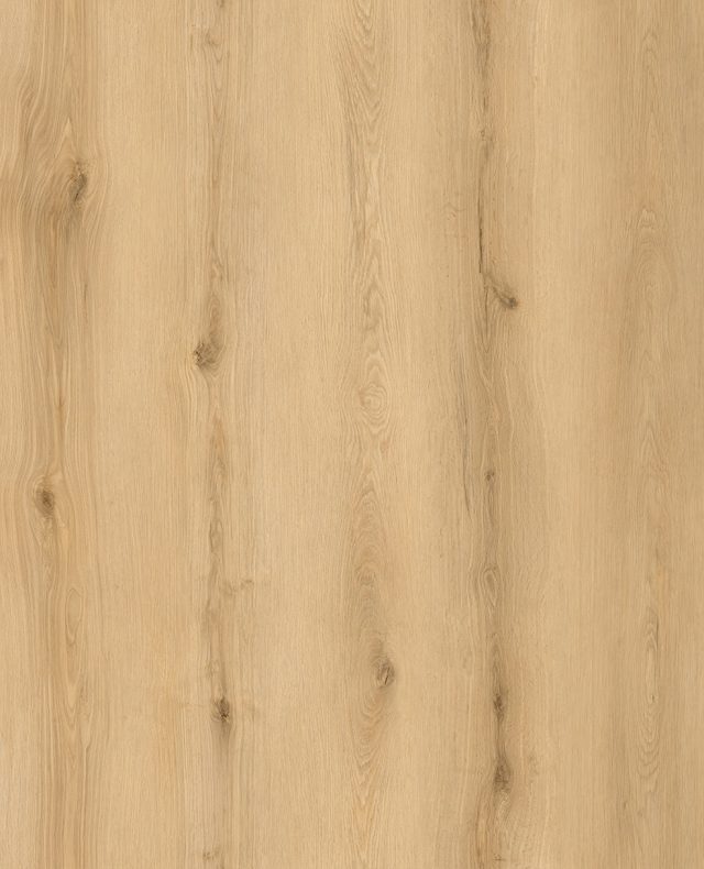 Legacy1200 520 Sunset Birch Large