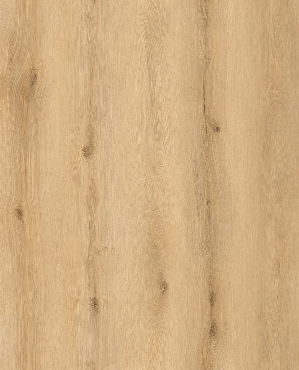 Legacy1200 520 Sunset Birch Large