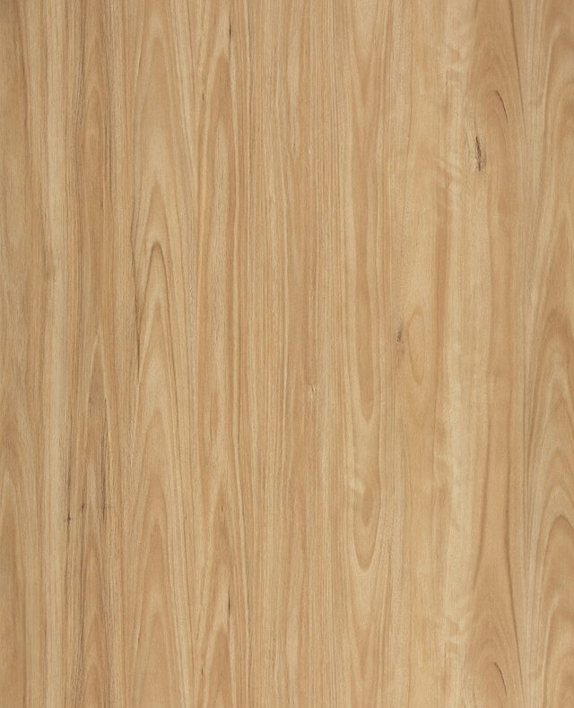 Legacy1200 525 Alpine Blackbutt Large