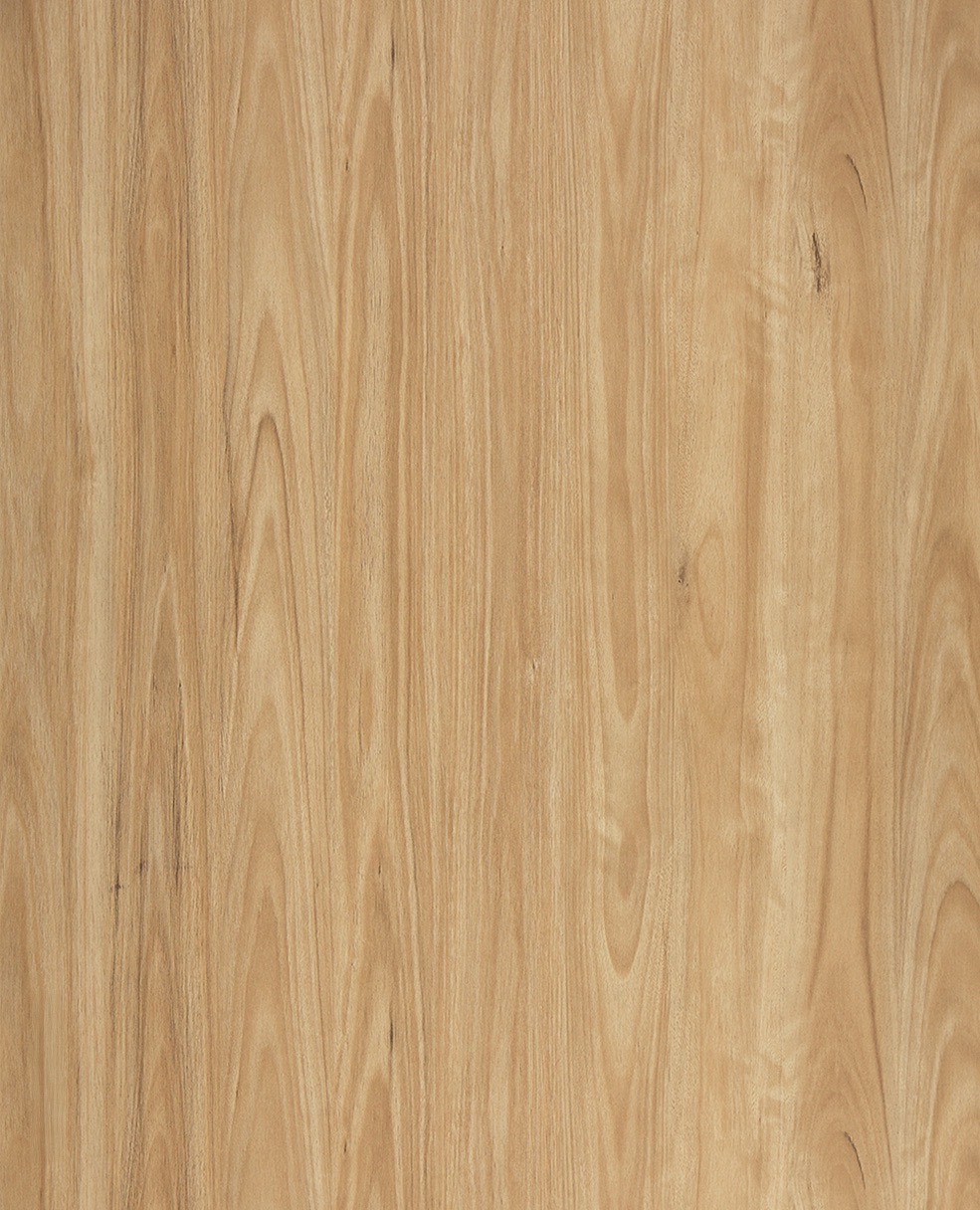 Legacy1200 525 Alpine Blackbutt Large