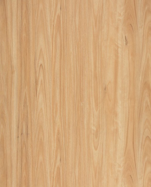 Legacy1200 545 Eastern Blackbutt Large