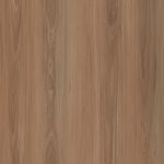 Mountain Dll1502 Northern Blackbutt Large