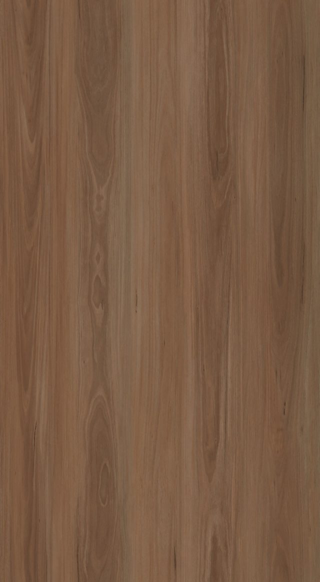 Mountain Dll1504 Mountain Spotted Gum Large
