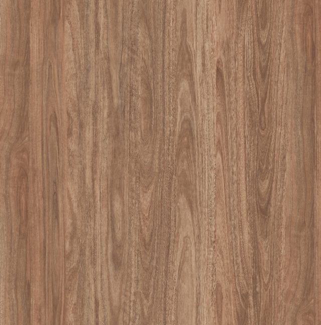 Mountain Dll1509 Tallow Wood Large