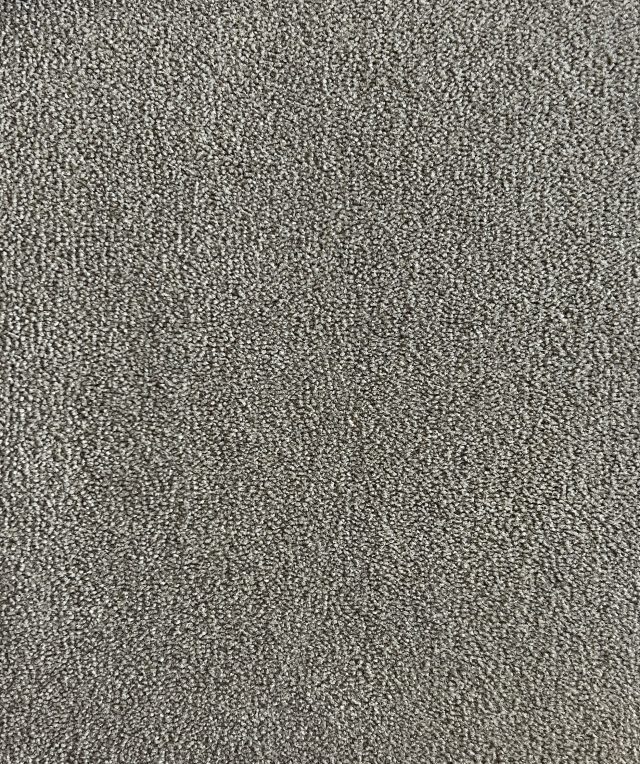 Metropolisis Col. Grey Canvas