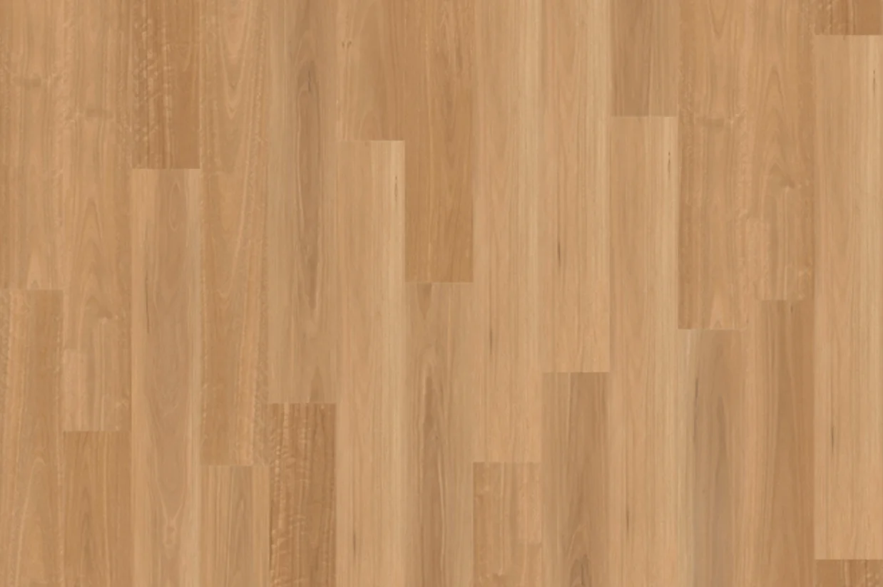 Natural Australian Range Col. Golden Spotted Butt