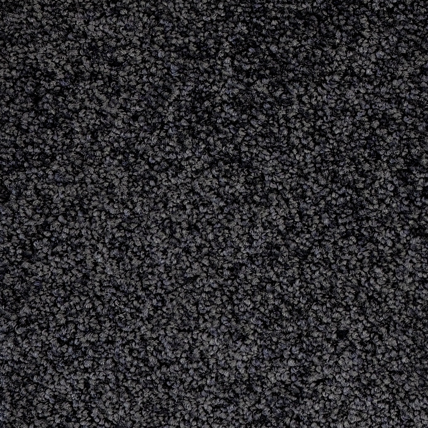 New Whimsical Graphite