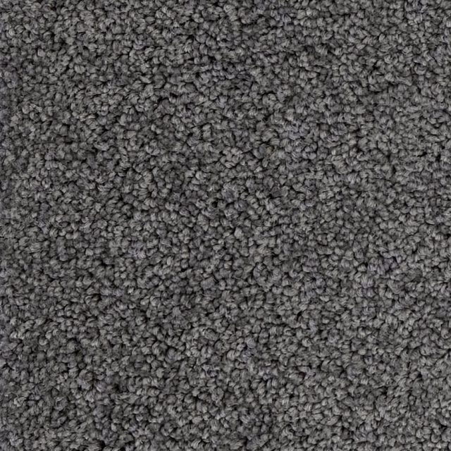 New Whimsical Harbour Grey