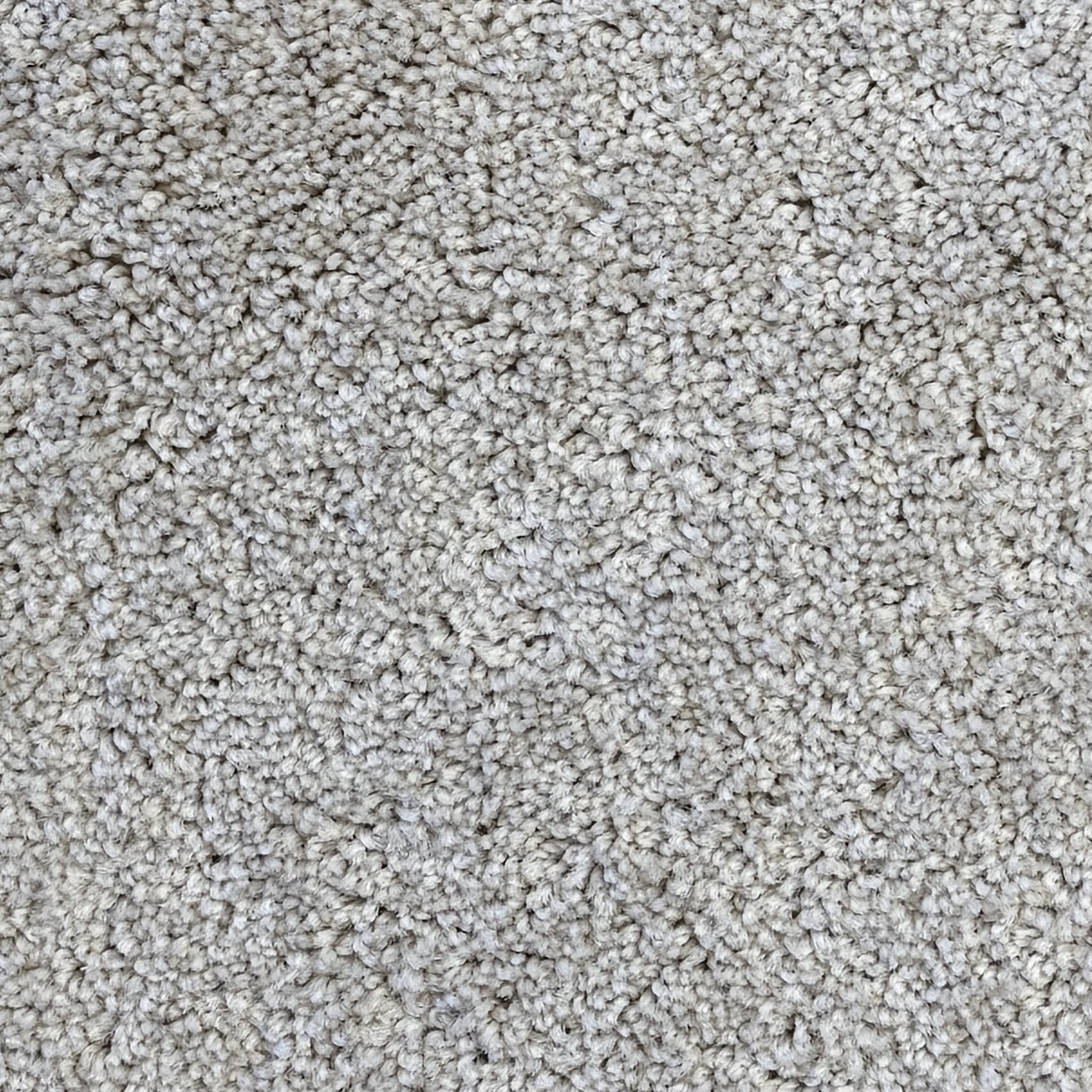 New Whimsical Moonbeam