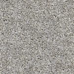 New Whimsical Natural Canvas