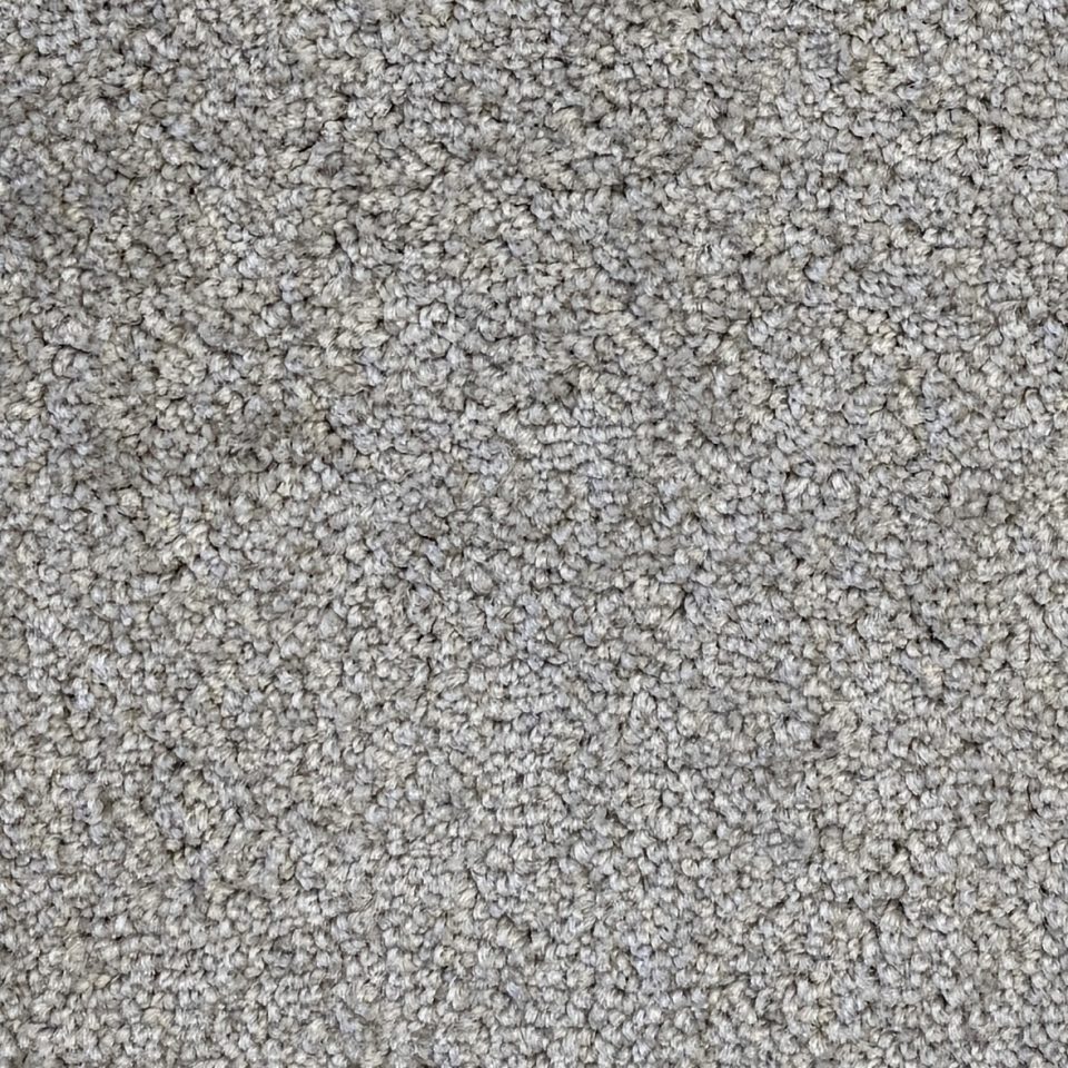 New Fanciful Carpet