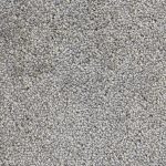 New Whimsical Porcini