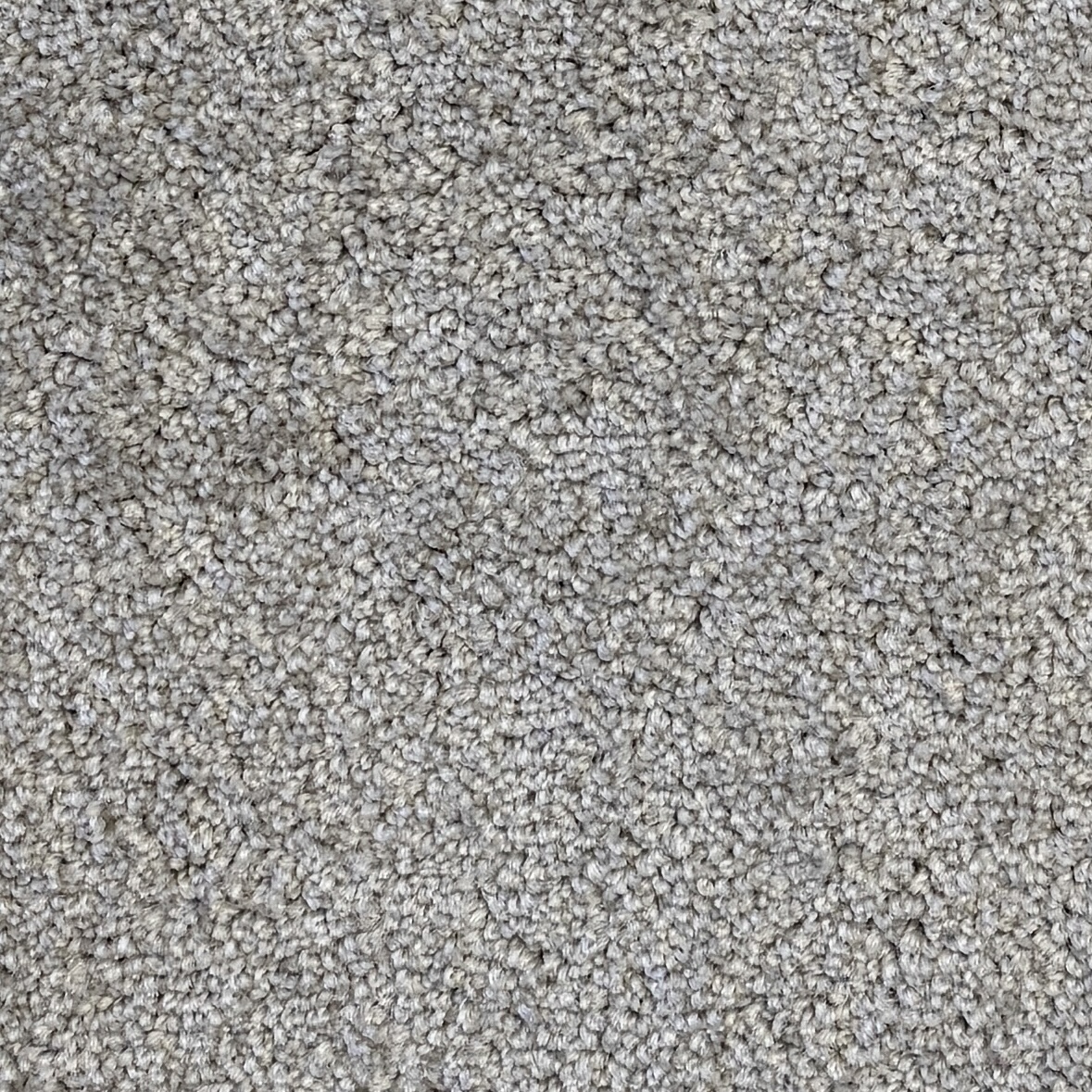 New Whimsical Porcini