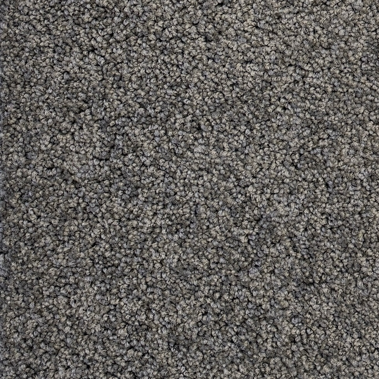 New Whimsical Trial Print