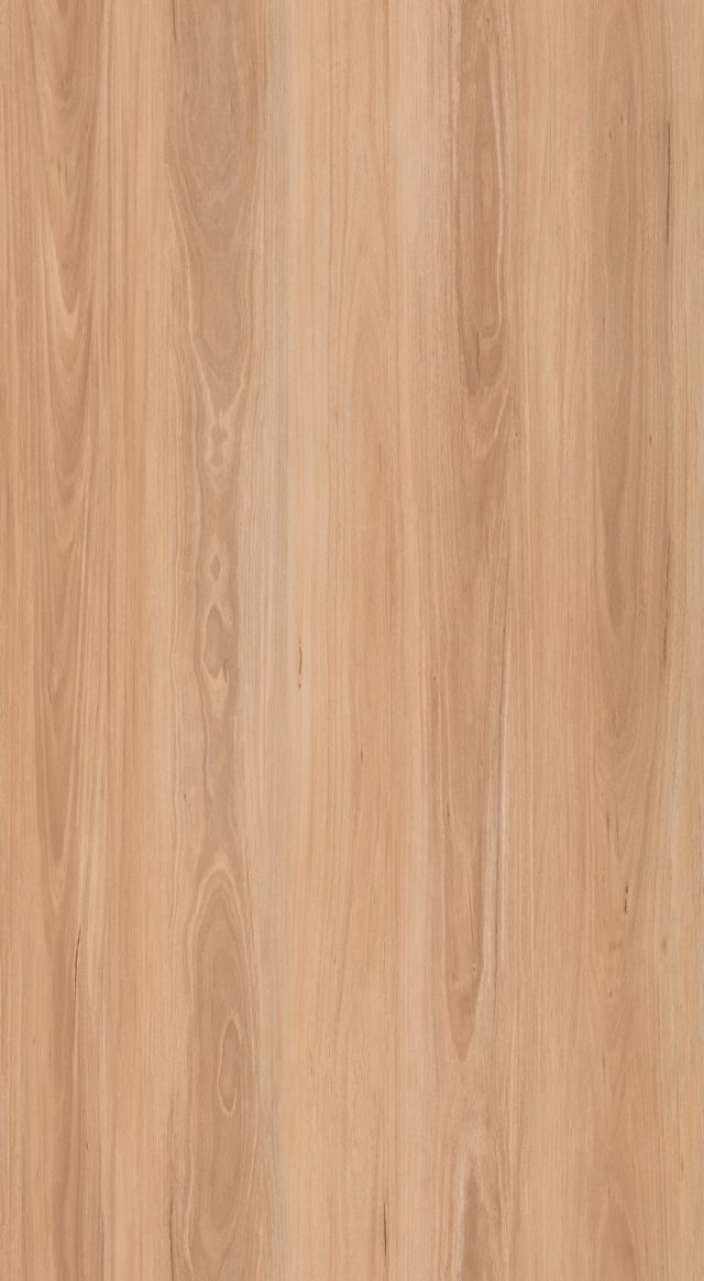 Ocean Dl4507 Coastal Blackbutt Large