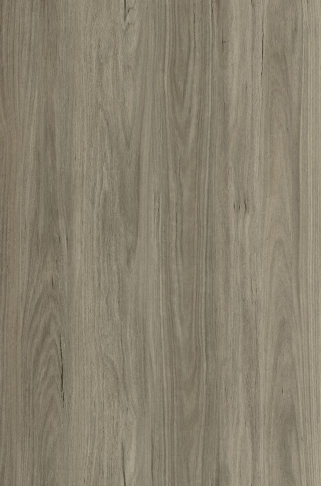 Ocean Dl4509 Grey Gum Large