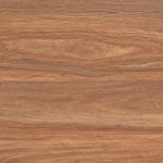 Oatlands Col. Spotted Gum
